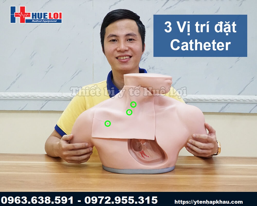 3 vị trí đặt catheter