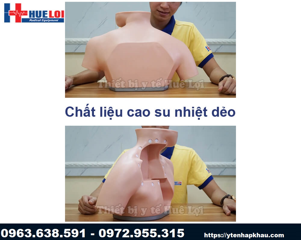 Mô hình đặt Catheter tĩnh mạch