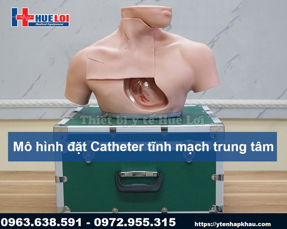 Mô hình đặt catheter dưới đòn